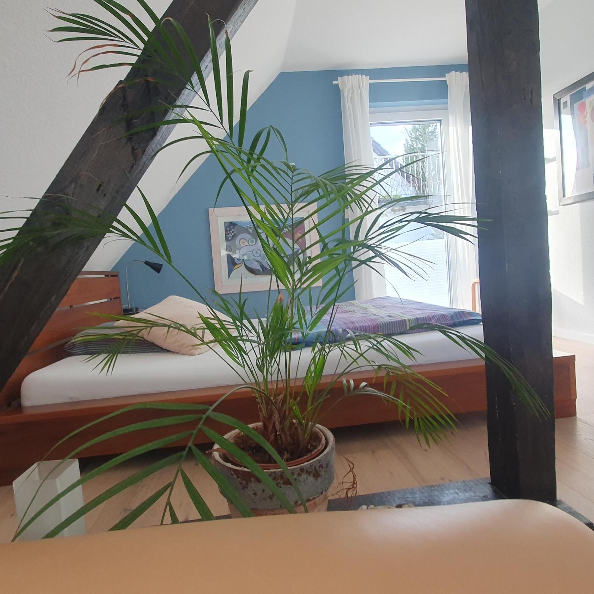 Zwischenraum Hotel Вупертал Екстериор снимка